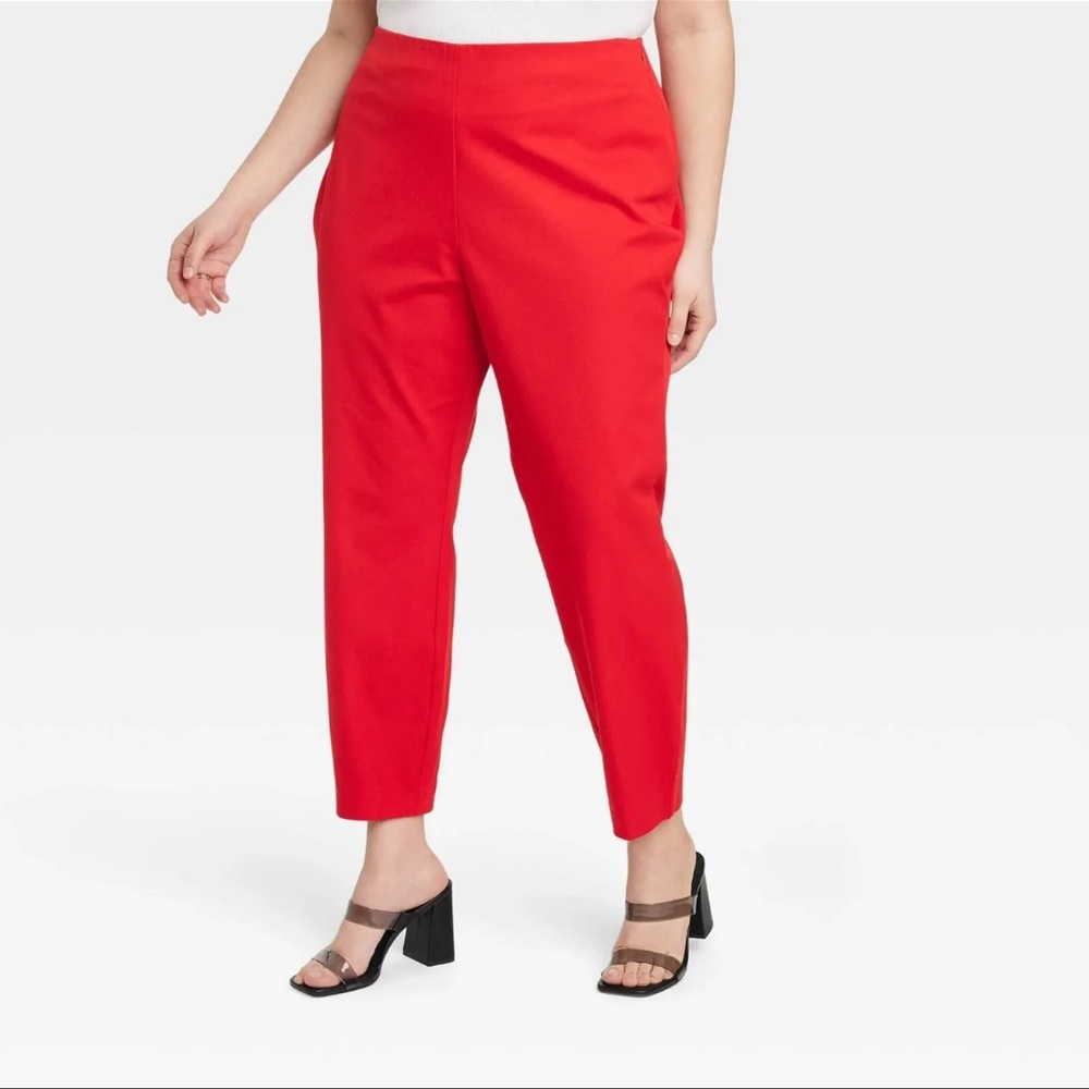 Coral Investment pants Size 16W